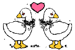 geese hearts